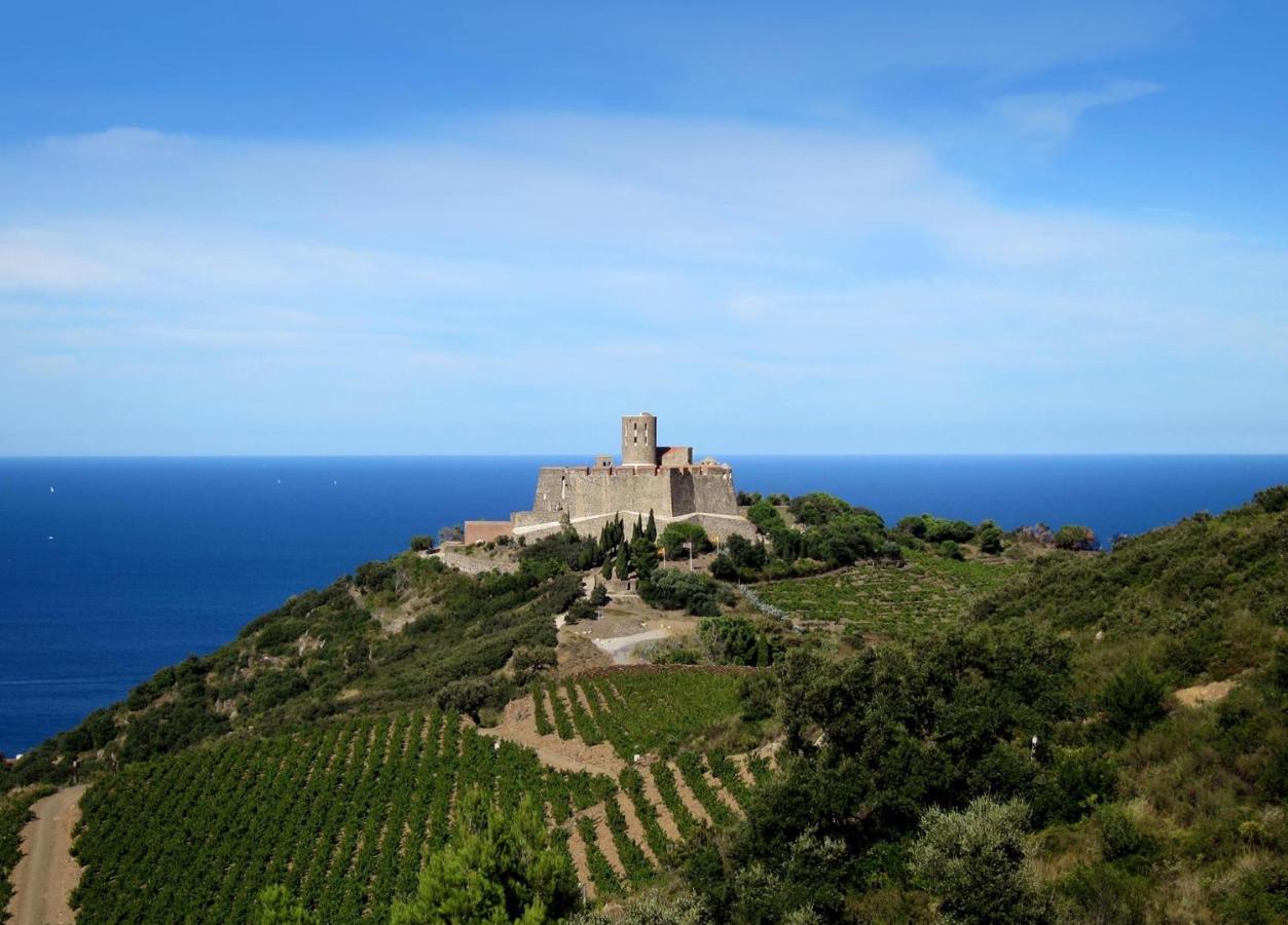 Apartment Renove A 50 M De Plage, Entree Autonome, Climatise Collioure