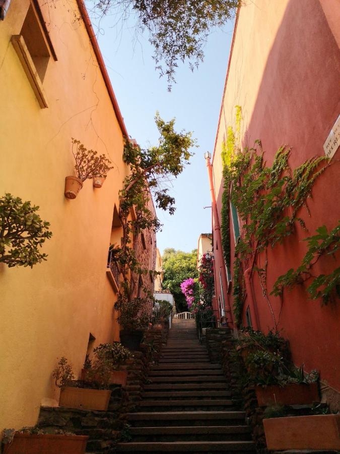 Renove A 50 M De Plage, Entree Autonome, Climatise * Collioure
