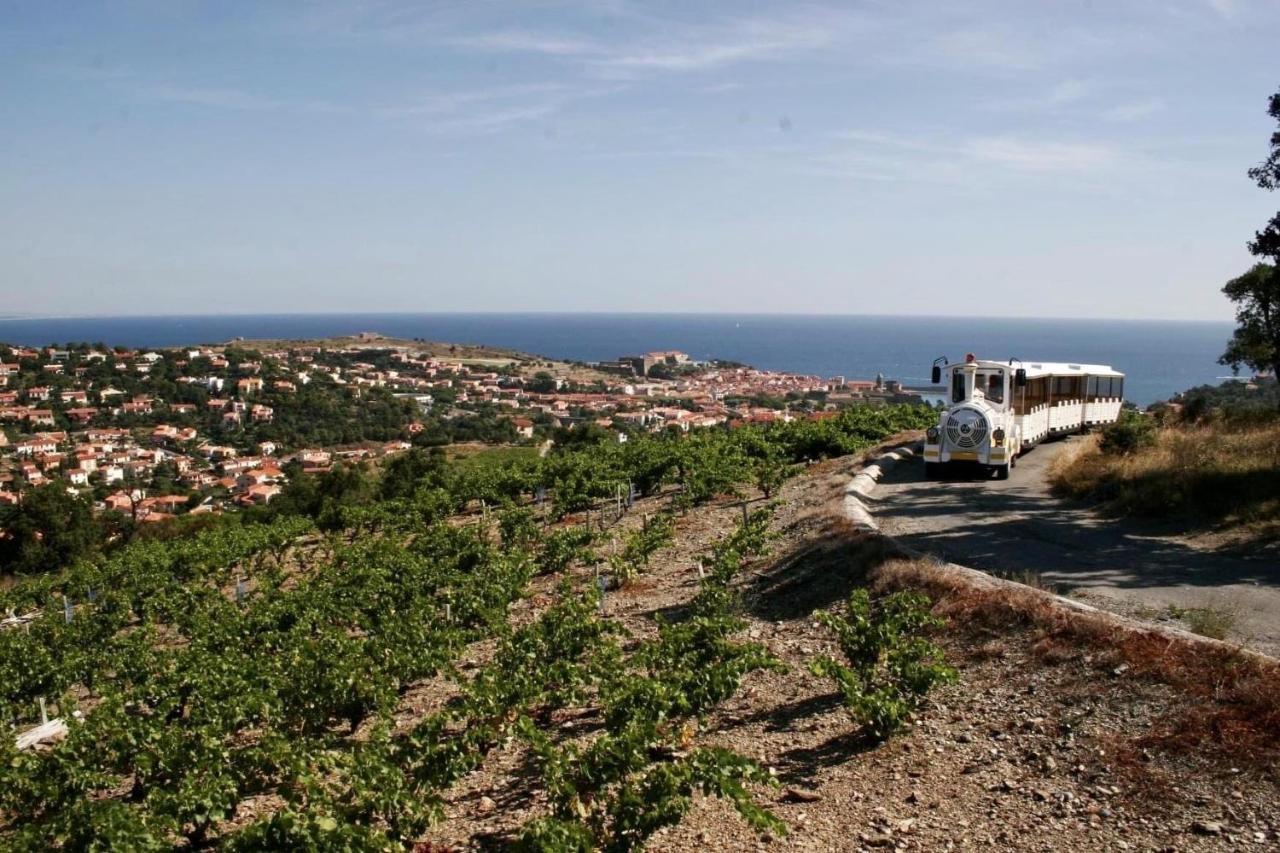 Renove A 50 M De Plage, Entree Autonome, Climatise *