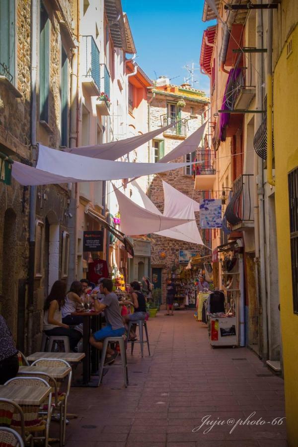 Renove A 50 M De Plage, Entree Autonome, Climatise Collioure